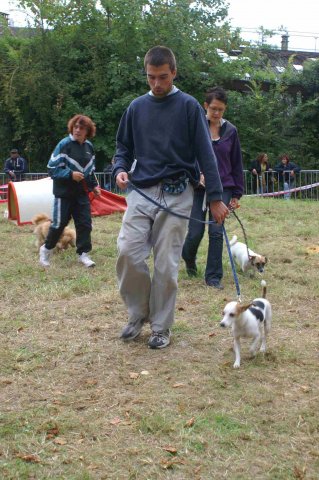 foire-haricots 2011-09-17et18